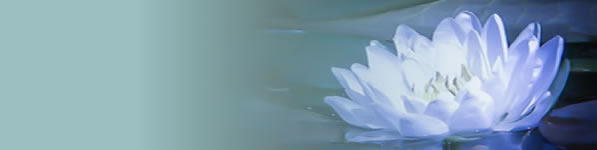 Path of Light Yoga Studio